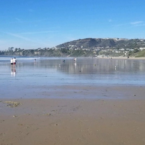 Meet your Posher, Athena - Picture 1 of 1